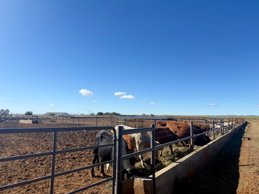13 Bedroom Property for Sale in Bainsvlei Free State